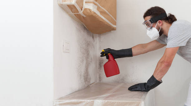 Professional Bathroom Mold Removal technician working in Totowa, NJ