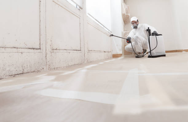 24/7 Emergency Bathroom Mold Removal experts in Totowa, NJ