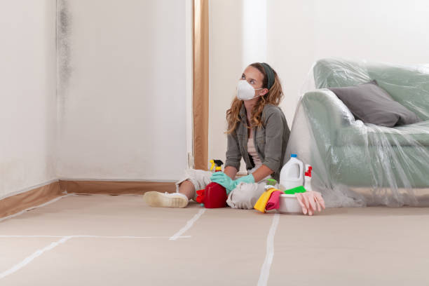 Reliable Bathroom Mold Removal contractor in Totowa, NJ by WQB Mold Removal